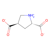 L-trans-2,4-pyrolidine dicarboxylate,Moligand™,阿拉丁