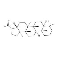22(29)何帕烯 溶液,1615-91-4,0.1 mg/mL in isooctane,阿拉丁