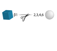 N-Acetylglucosaminidase,Specific Activity>80 U/mg;Activity>50 U/ml,阿拉丁
