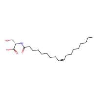 N-Oleoyl-L-Serine,107743-37-3,阿拉丁
