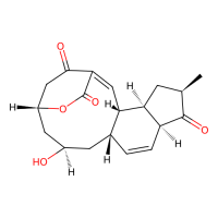 Macquarimicin A,Moligand™,阿拉丁