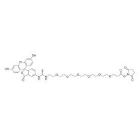 荧光素-PEG6-琥珀酰亚胺酯，1818294-35-7，≥95%，阿拉丁