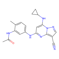 N-[5-[[3-cyano-7-(cyclopropylamino)pyrazolo[1,5-a]pyrimidin-5-yl]amino]-2-methylphenyl]acetamide，Moligand™，阿拉丁