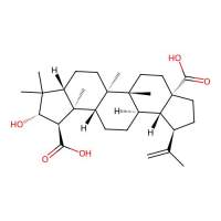 Ceanothic acid，21302-79-4，≥98%，阿拉丁