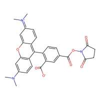 5-羧基-四甲基罗丹明-琥珀酰亚胺酯，150810-68-7，BioReagent, 适用于荧光分析，阿拉丁