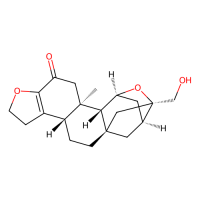 bengalensol,Moligand™,阿拉丁