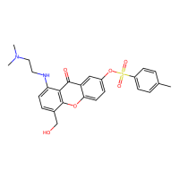 XNT,Moligand™,阿拉丁