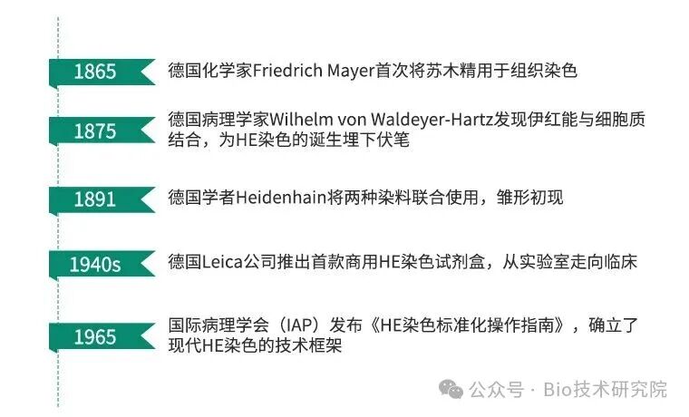 奇怪！这种碱性染料竟要配成酸性溶液？分享免疫组化实验中HE染色的机制