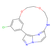 OD36,Moligand™,阿拉丁