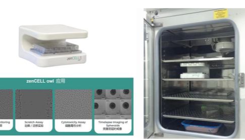 zenCELL owl 实时活细胞成像分析仪——细胞药化实验的监测利器