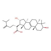 Tumulosic acid,508-24-7,≥98%,阿拉丁
