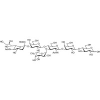 唾液路易斯X-乳糖,127923-85-7,≥97%(HPLC),阿拉丁