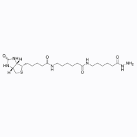生物素XX酰肼,211237-33-1,Moligand™, ≥95%,阿拉丁