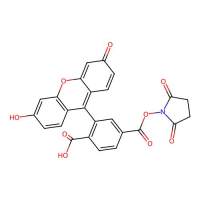 FAM 琥珀酰亚胺酯，6-异构体，890090-41-2，≥98%，阿拉丁