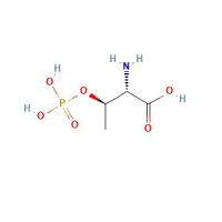 O-磷酸- L -苏氨酸,1114-81-4,≥95%,阿拉丁