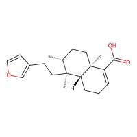 Hardwickiic acid,1782-65-6,≥98%,阿拉丁