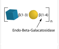 Endo-Beta-Galactosidase，55072-01-0，Specific Activity ＞140 U/mg;Activity ＞14 U/ml，阿拉丁
