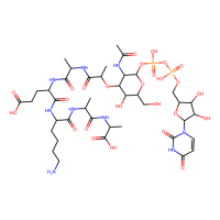 C3，Moligand™，阿拉丁