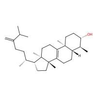 Obtusifoliol，16910-32-0，≥99%，阿拉丁