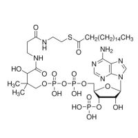 n-十七烷酰基辅酶A锂盐,3546-17-6,≥90%,阿拉丁