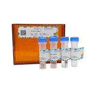 T4 RNA连接酶1，BioReagent, PCR试剂, 用于DNA合成, 分子生物学级, EnzymoPure™, for DNA and RNA applications, 30 U/μl，阿拉丁