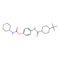 [4-[(4-tert-butylcyclohexanecarbonyl)amino]phenyl] N-morpholin-4-ylcarbamate，Moligand™，阿拉丁