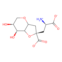2,4-epi-neodysiherbaine,Moligand™,阿拉丁