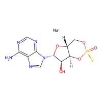 Rp-cAMPS sodium salt,142439-94-9,≥99%,阿拉丁