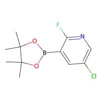5-chloro-2-fluoro-3-(4,4,5,5-tetramethyl-1,3,2-dioxaborolan-2-yl)pyridine,937595-72-7,97%,阿拉丁