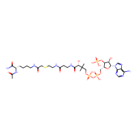 Lys-CoA,Moligand™,阿拉丁