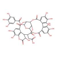 Chebulagic acid,23094-71-5,≥99%,阿拉丁