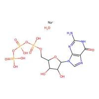 Guanosine 5'-triphosphate trisodium salt hydrate，207300-85-4，阿拉丁