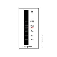DNA Ladder (100-2000bp),BioReagent, 即用型, 适用于电泳, 分子生物学级, 用于核酸电泳, 100-2000bp, 6 bands, Blue, 100bp/ 250bp/ 500bp/ 750bp/ 1000bp/ 2000bp,阿拉丁