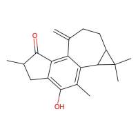 麻枫树酚酮B,71386-38-4,≥98%,阿拉丁