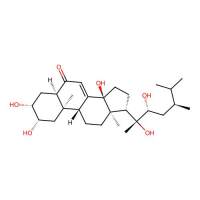 Polyporusterone A，141360-88-5，≥99%，阿拉丁
