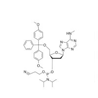 N6-Me-dA 亚磷酰胺单体，105931-58-6，≥98%，阿拉丁