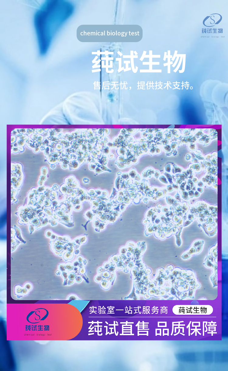 新闻图片1