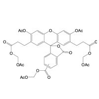 BCECF-AM，117464-70-7，≥90%(HPLC)，阿拉丁