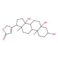 Periplogenin，514-39-6，10mM in DMSO，阿拉丁