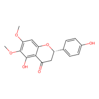 6-methoxysakuranetin,Moligand™,阿拉丁