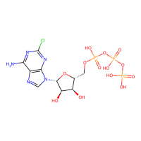 2-chloroadenosine-5-triphosphate,Moligand™,阿拉丁