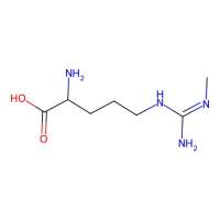 Methylarginine，阿拉丁