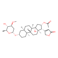 oleandrin，Moligand™，阿拉丁
