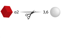 Neuraminidase Cp，Specific Activity >250 U/mg;Activity 15 U/ml，阿拉丁