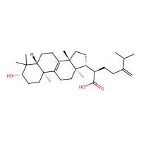 Eburicoic acid，560-66-7，≥98%，阿拉丁