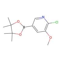 2-氯-3-甲氧基吡啶-5-硼酸频那醇酯，1256360-28-7，≥95%，阿拉丁