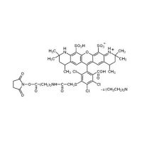 Aladdin™ 546 NHS 酯(琥珀酰亚胺酯),Ex:561nm, Em:572nm, ≥70%(HPLC),阿拉丁