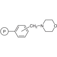 吗啉基甲基聚苯乙烯树脂，交联1%DVB (50-100目) (2.9-3.5mmol/g)，阿拉丁