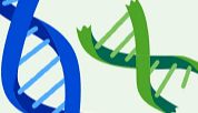 Addgene品牌焕新：从质粒库到科研全周期合作伙伴，我们始终与科学家同行