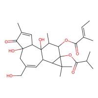12-O-Tiglylphorbol-13 –isobutyrate，92214-54-5，≥98%，阿拉丁